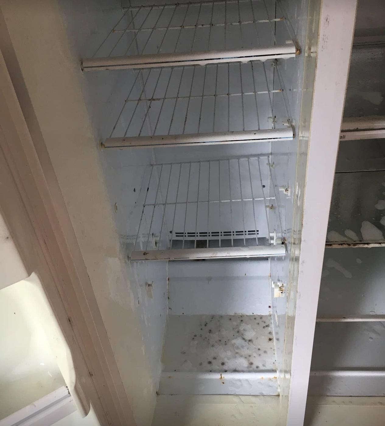 Refrigerator, freezer side, before we cleaned it