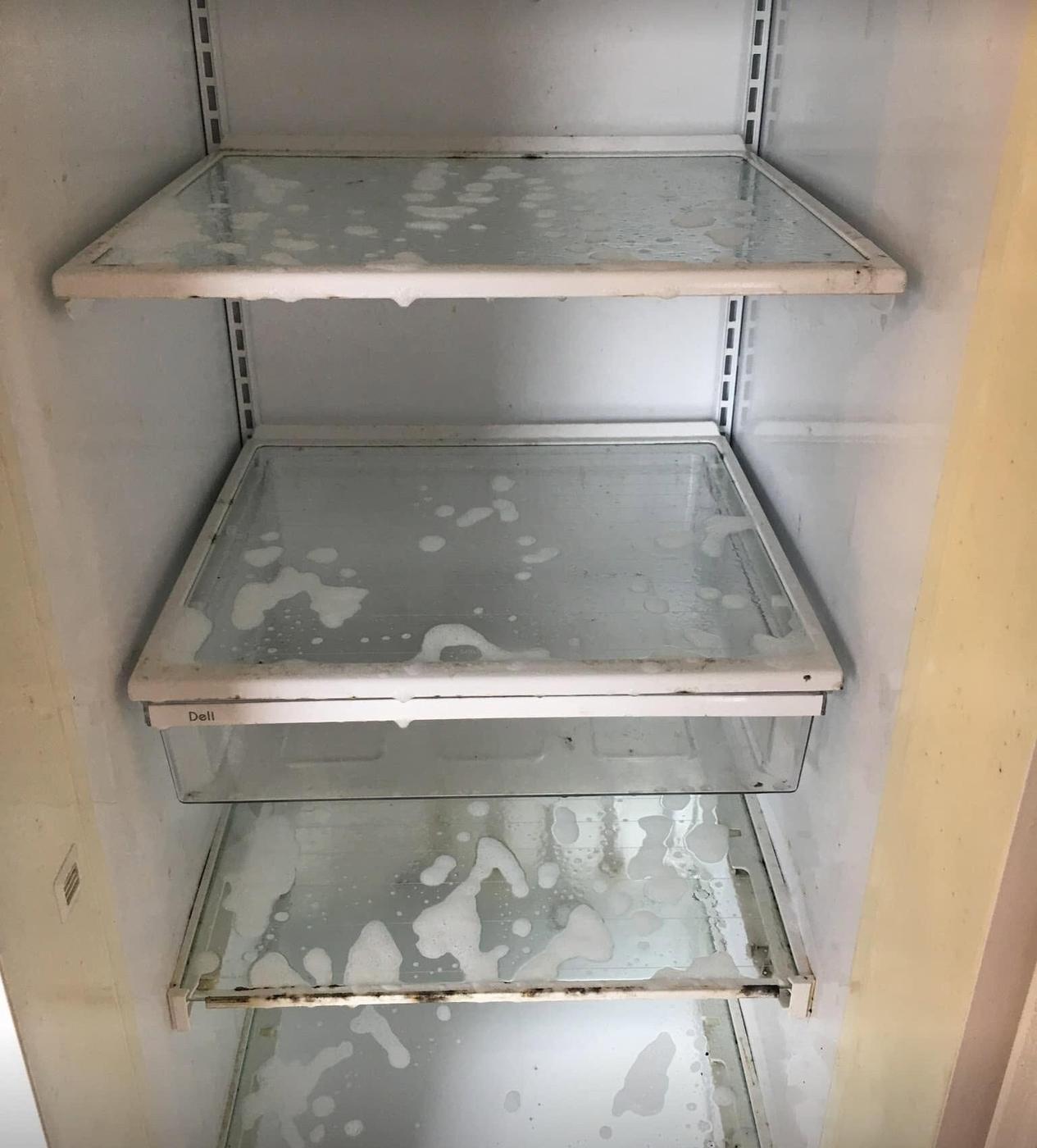 Refrigerator, glass shelves, before we cleaned it